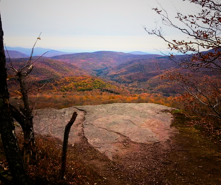 Press Release Re: 2024 Comptroller’s Financial Report